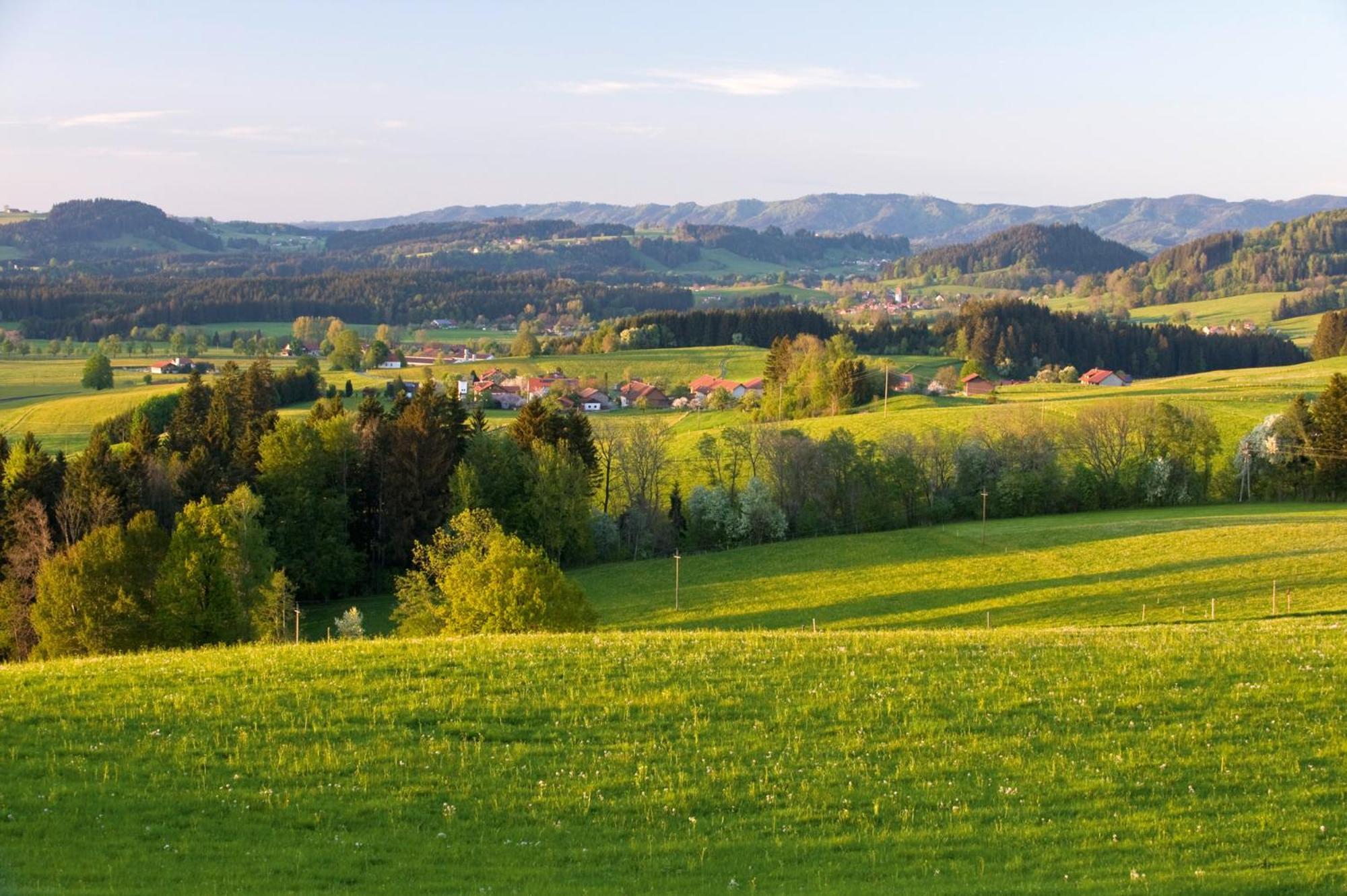 Allgaeu-Glueck Gruenenbach Grunenbach Eksteriør billede